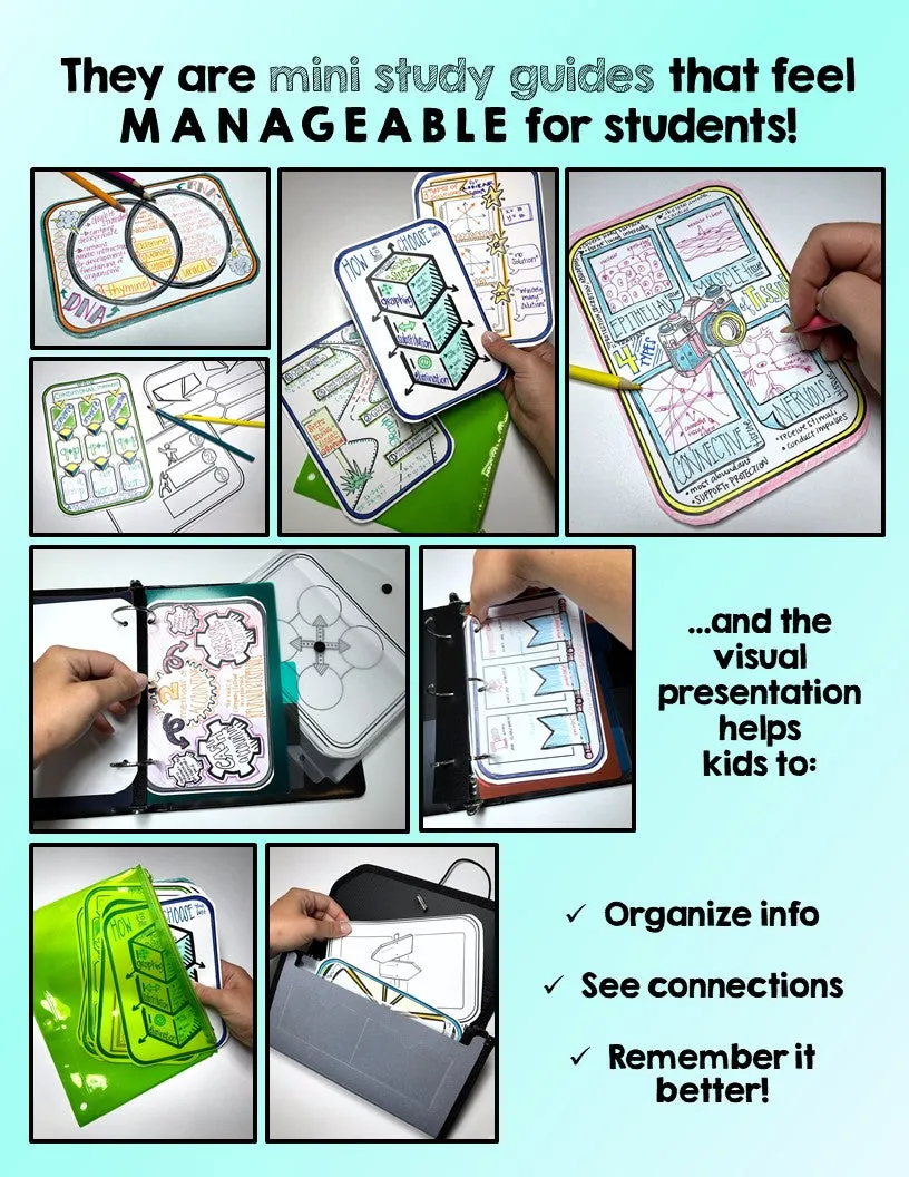 100 Graphic Organizer Review Cards