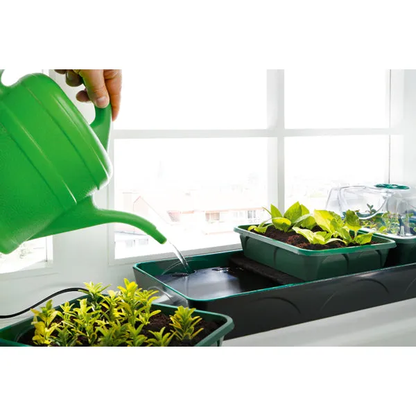 Bio Green Hollandia Self Watering Propagator