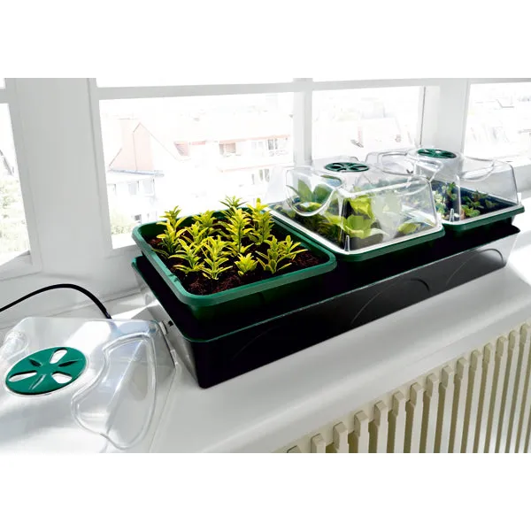 Bio Green Hollandia Self Watering Propagator