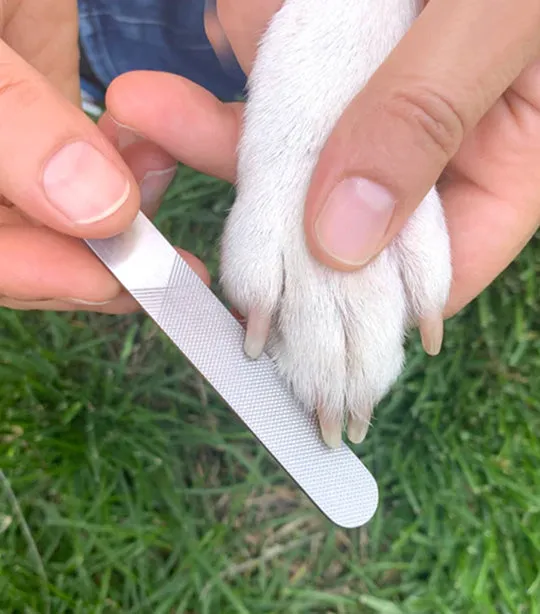 Dog Spa Kit