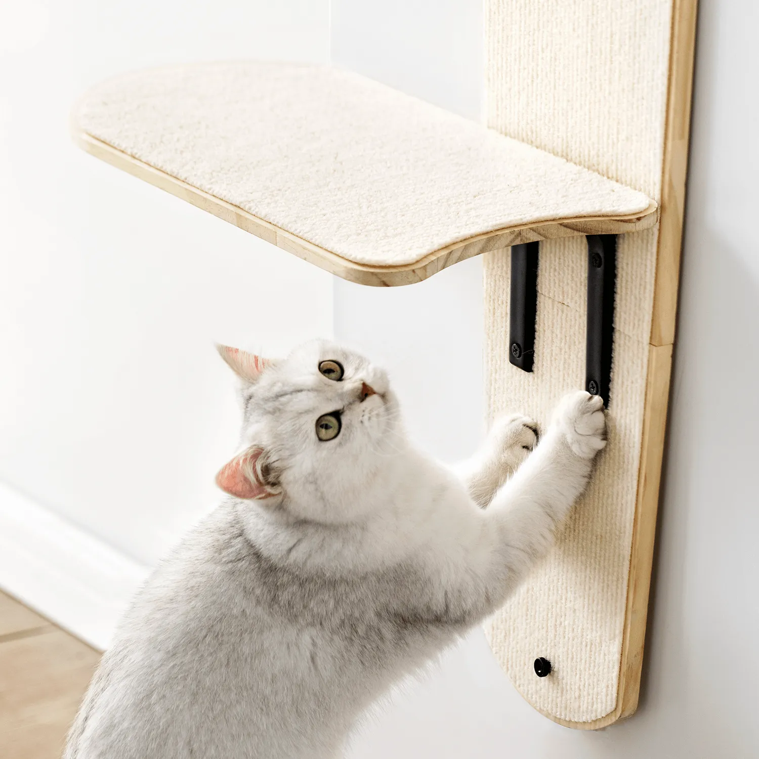 Door Hanging Cat Climber Shelves