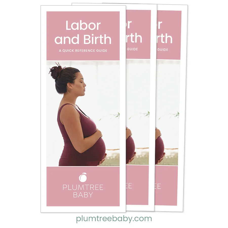 Labor and Birth Quick Reference Guides - Pack of 50