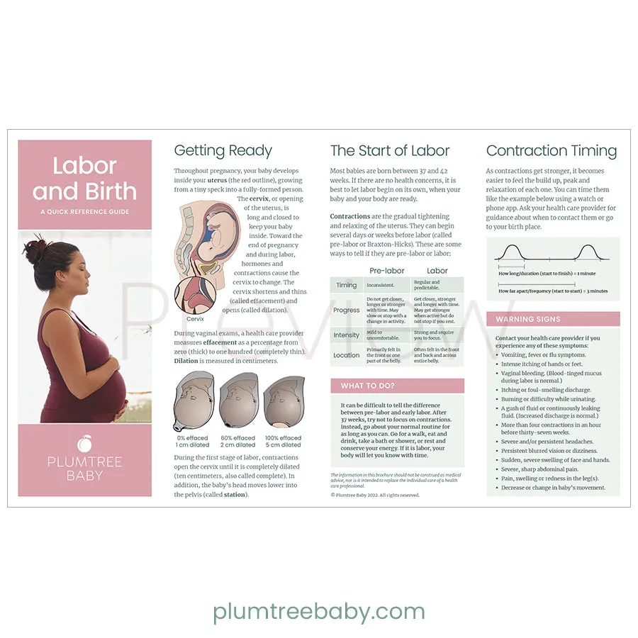 Labor and Birth Quick Reference Guides - Pack of 50