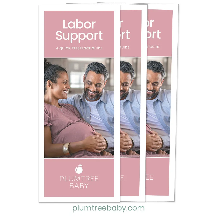 Labor Support Quick Reference Guides - Pack of 50