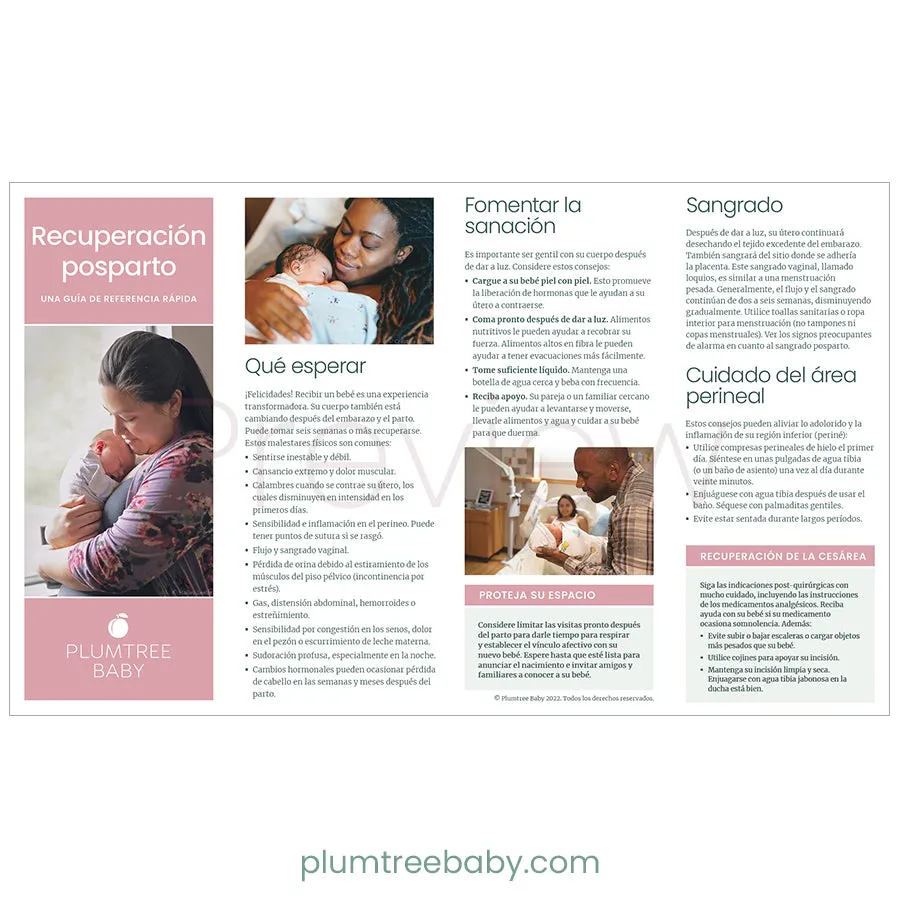 Postpartum Quick Reference Guides - Pack of 50