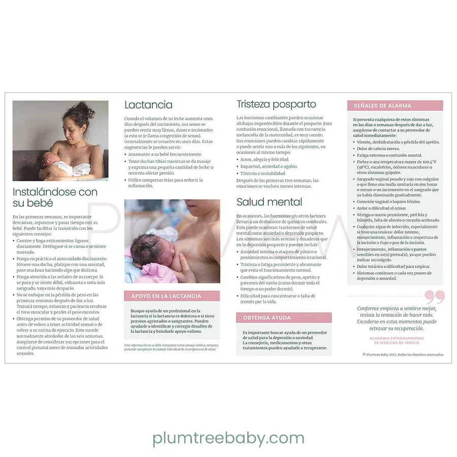 Postpartum Quick Reference Guides - Pack of 50