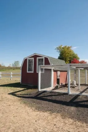 Poultry Coops for Chickens DIY Plans - Backyard Barn Hen House Cage With Run 8' x 16'