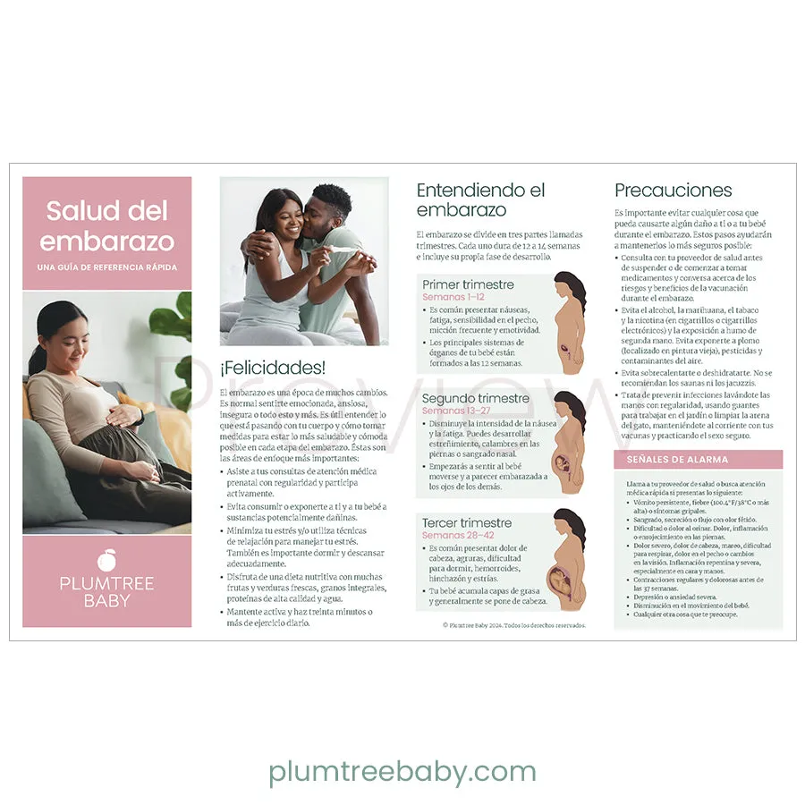 Pregnancy Health Quick Reference Guides - Pack of 50