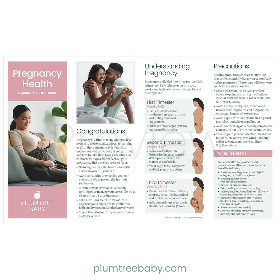 Pregnancy Health Quick Reference Guides - Pack of 50